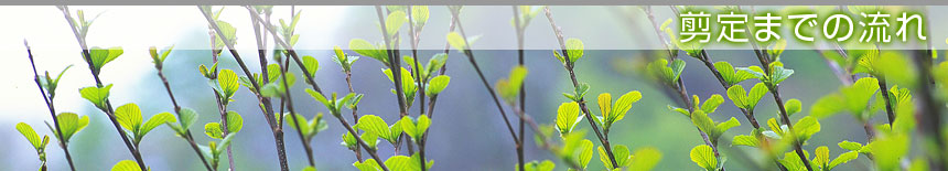 ����܂ł̗���^�{�錧�̔��Ύs�A�������A��͌����A�ēc���̙���H���A�����ƁA����{�H�A����Ǝ҂͙���-�{��.com