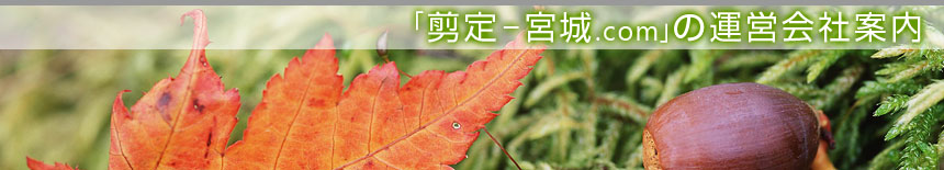 ����-�{��.com�̉^�c��Јē��^�{�錧�̔��Ύs�A�������A��͌����A�ēc���̙���H���A�����ƁA����{�H�A����Ǝ҂͙���-�{��.com