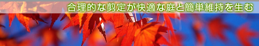 �����I�ș��肪���K�Ȓ�ƊȒP�ێ��𐶂ށ^�{�錧�̔��Ύs�A�������A��͌����A�ēc���̙���H���A�����ƁA����{�H�A����Ǝ҂͙���-�{��.com