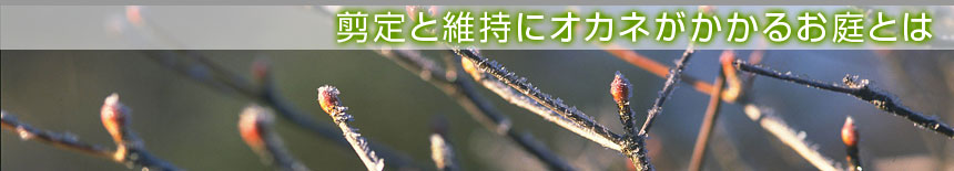 ����ƈێ��ɃI�J�l�������邨��Ƃ́^�{�錧�̔��Ύs�A�������A��͌����A�ēc���̙���H���A�����ƁA����{�H�A����Ǝ҂͙���-�{��.com