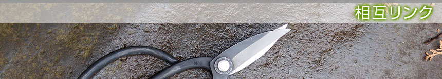 ���݃����N�^�{�錧�̔��Ύs�A�������A��͌����A�ēc���̙���H���A�����ƁA����{�H�A����Ǝ҂͙���-�{��.com