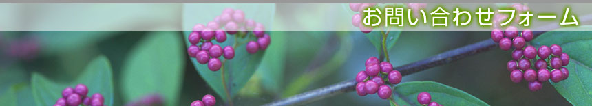 ���₢���킹�t�H�[���^�{�錧�̔��Ύs�A�������A��͌����A�ēc���̙���H���A�����ƁA����{�H�A����Ǝ҂͙���-�{��.com