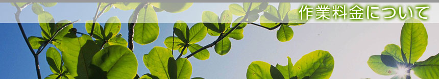 ��Ɨ����ɂ��ā^�{�錧�̔��Ύs�A�������A��͌����A�ēc���̙���H���A�����ƁA����{�H�A����Ǝ҂͙���-�{��.com