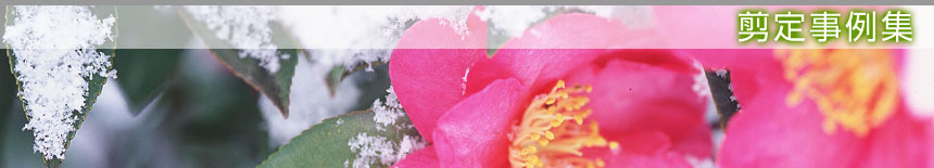 ���莖��W�^�{�錧�̔��Ύs�A�������A��͌����A�ēc���̙���H���A�����ƁA����{�H�A����Ǝ҂͙���-�{��.com