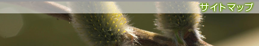 �T�C�g�}�b�v�^�{�錧�̔��Ύs�A�������A��͌����A�ēc���̙���H���A�����ƁA����{�H�A����Ǝ҂͙���-�{��.com