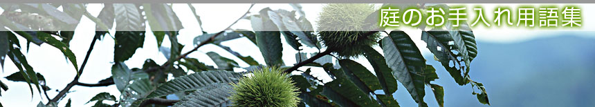 ��̂������p��W�^�{�錧�̔��Ύs�A�������A��͌����A�ēc���̙���H���A�����ƁA����{�H�A����Ǝ҂͙���-�{��.com